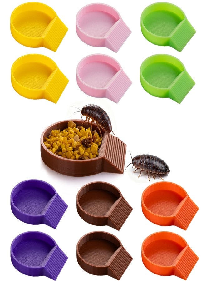 HERPDEN 12-Pack Feeding Dish for Invertebrates - Feeder Bowls for Dubia Roaches, Isopods, Springtails, Superworms, Small Insects & More - Mini Bowls for Reptile Food & Supplements - Image 1